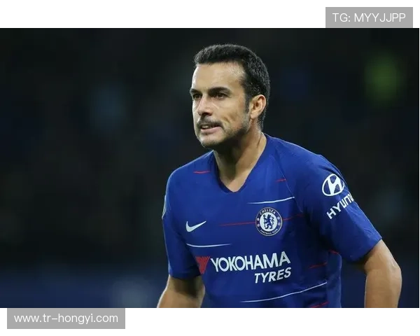 佩德罗内托与佩德罗贡萨尔维斯因伤缺席葡萄牙国家队大名单调整